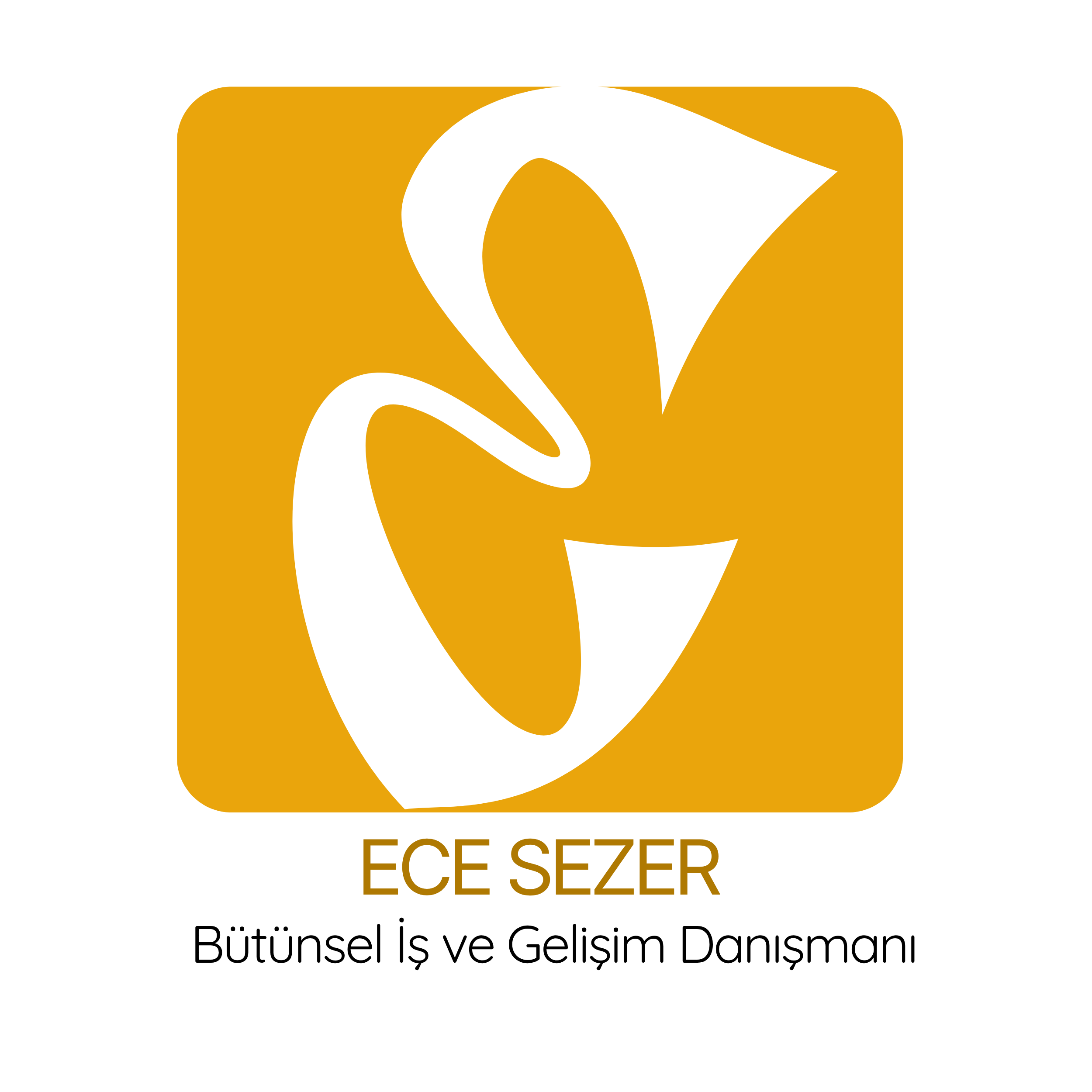 ece sezer | BÜTÜNSEL İŞ VE GELİŞİM DANIŞMANI